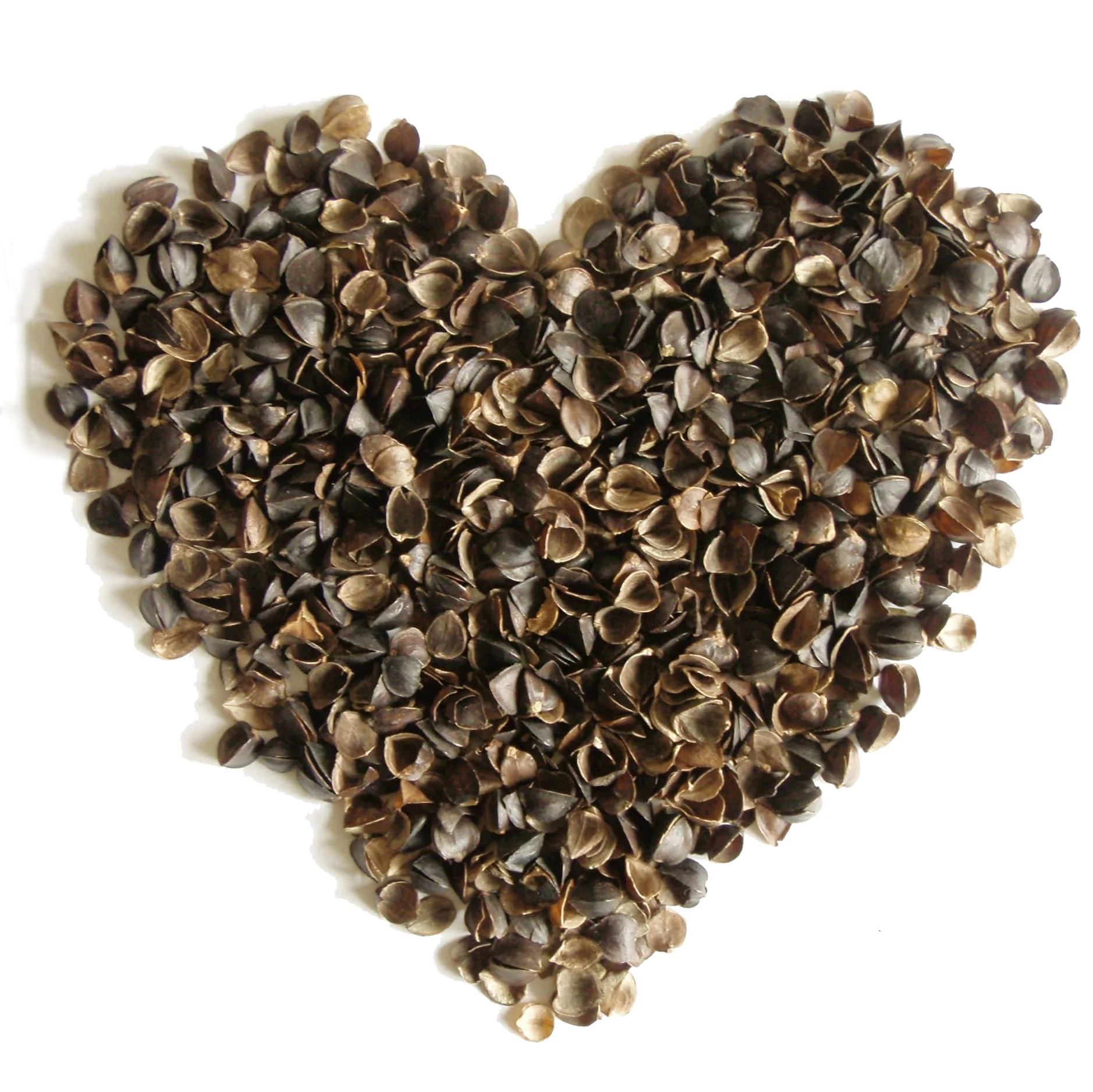 Buckwheat Hulls